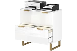 HOMCOM 2 Drawer File Cabinet, Lateral Filing Cabinet with Adjustable Hanging Rails for Letter/A4/Legal Size Files, Gold Handl