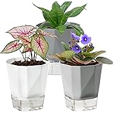 Samhe 3 Pack Self Watering Planter Pots, 4.9 Inch African Violet Pots for Indoor Outdoor Windowsill Gardens, Plant Pot with Wick Rope and Reservoir