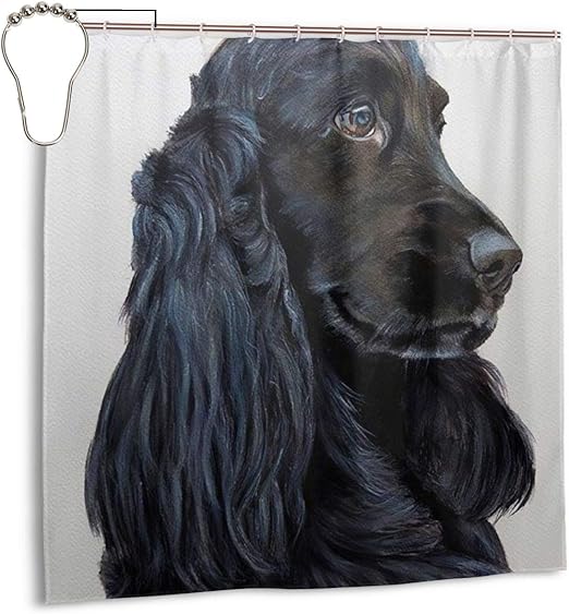 cocker spaniel long hair