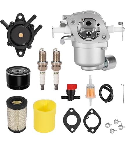 Carburetor Carb & Gasket For Briggs and Stratton 80019363 G02835 Engine