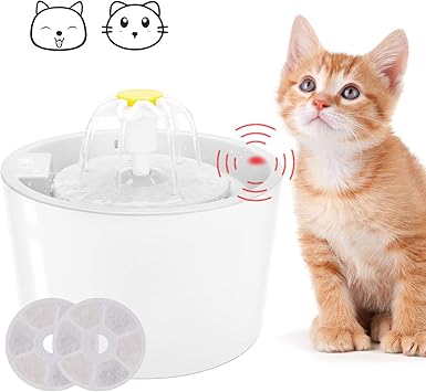 trinkbrunnen katze sensor