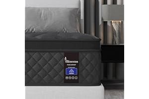 VISCOUNTESS Queen Mattress, Hybrid Mattresses 10 Inch Euro Top Medium Firm for Back & Lumbar Support, 100 Night Trial, Individual Pocket Spring Bed for Motion Isolation & Pressure Relief Black