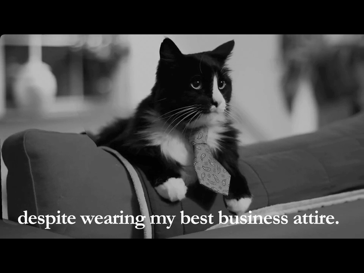 Henri Le Chat Noir Tumblr