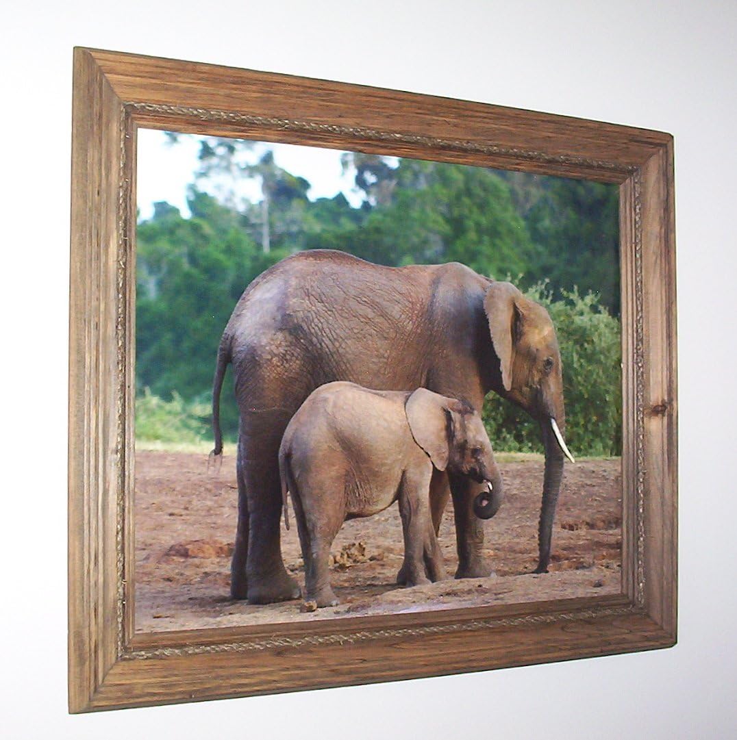 Amazon Elephant And Baby Picture Print With Rope trimmed Pine