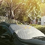 bedee Car Windscreen Cover De Icer, Frost Windscreen Cover Windshield Snow Cover