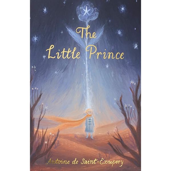 Amazon.com: The Adventures of the Little Prince: The Greatest Gift