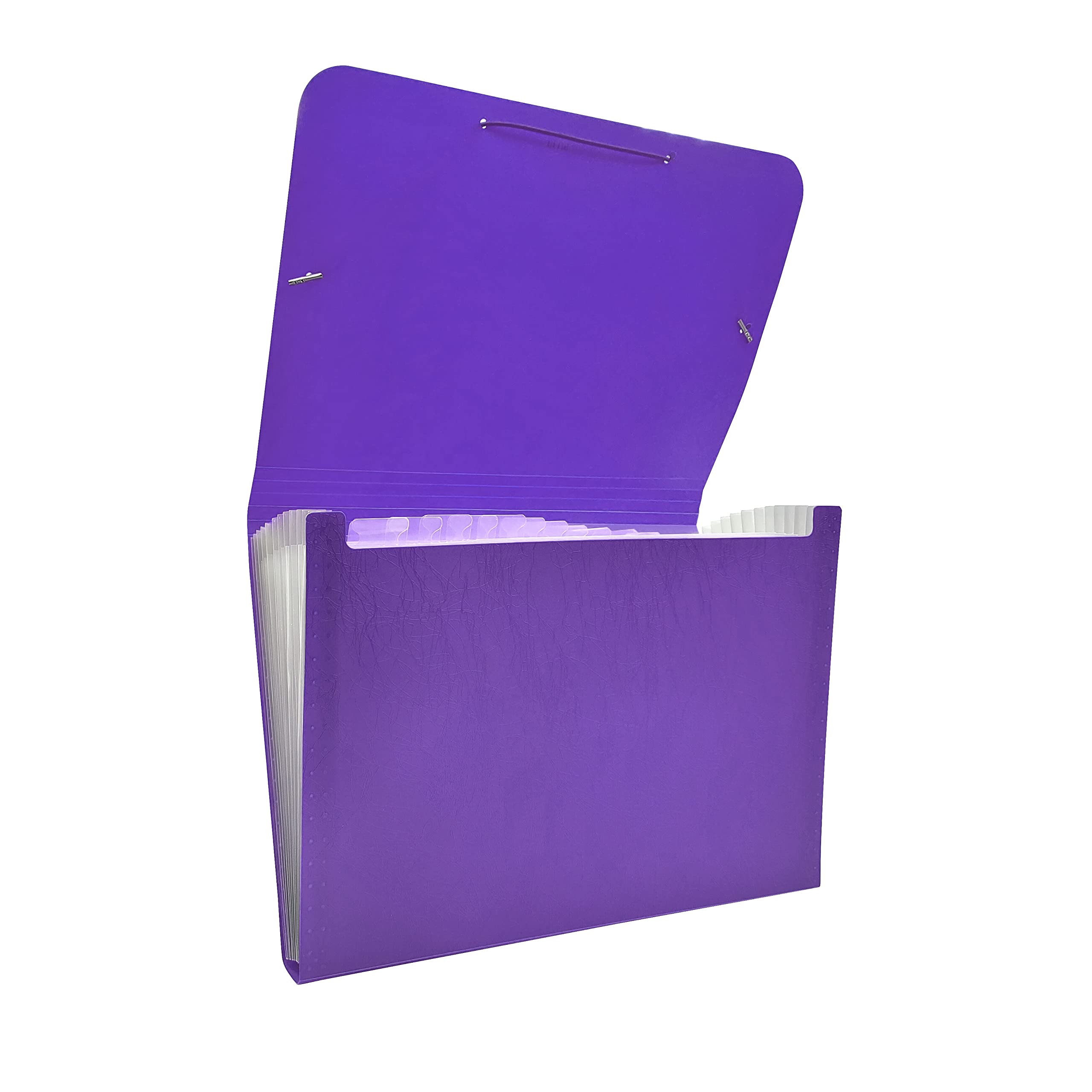 Raylu Paper® - Accordion Sorting Folder 12 Pockets Opaque Plastic Folder with Dividers for Office (Purple)