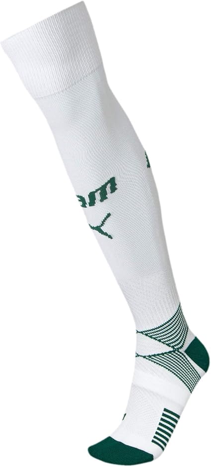 meiao palmeiras puma