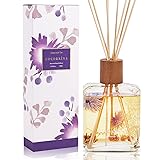 Cocorrína Reed Diffuser Set, Chamomile Tea