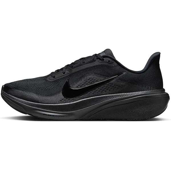 Nike Men's Pegasus EasyOn Road Running Shoes, Black White