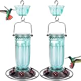 Kingsyard 2 Pack Glass Hummingbird Feeder for