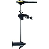 Minn Kota Endura C2 55 Freshwater Transom Mounted Trolling Motor (36" Shaft)