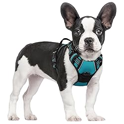 rabbitgoo Dog Harness No Pull with 2 Leash