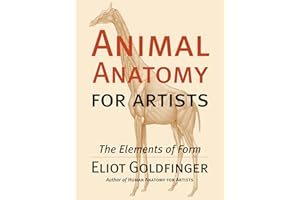 Animal Anatomy for Artists: The Elements of Form