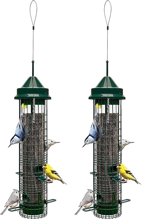Amazon Com Squirrel Buster Classic Squirrel Proof Bird Feeder W