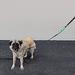 Max and Neo Leash Sleeves Adopt ME - We Donate 1