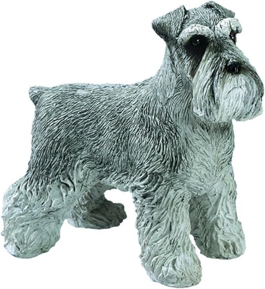 uncut schnauzer