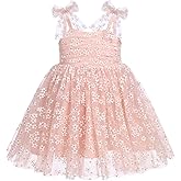 ODASDO Baby Girls Birthday Party Dress Toddler Kids Bowknot Spaghetti Straps Tulle Tutu Princess Dress Pageant Holiday