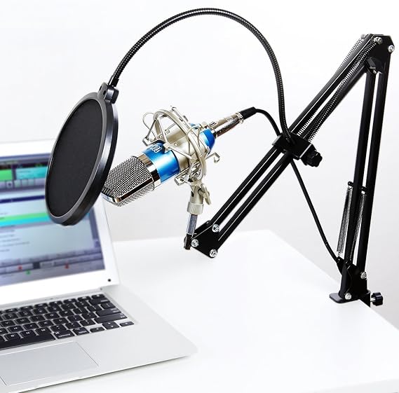 Profi Studio Mikrofon Kondensator Gesangsmikrofon XLR Microphone Spinne