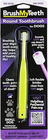 beethoven dog breed price