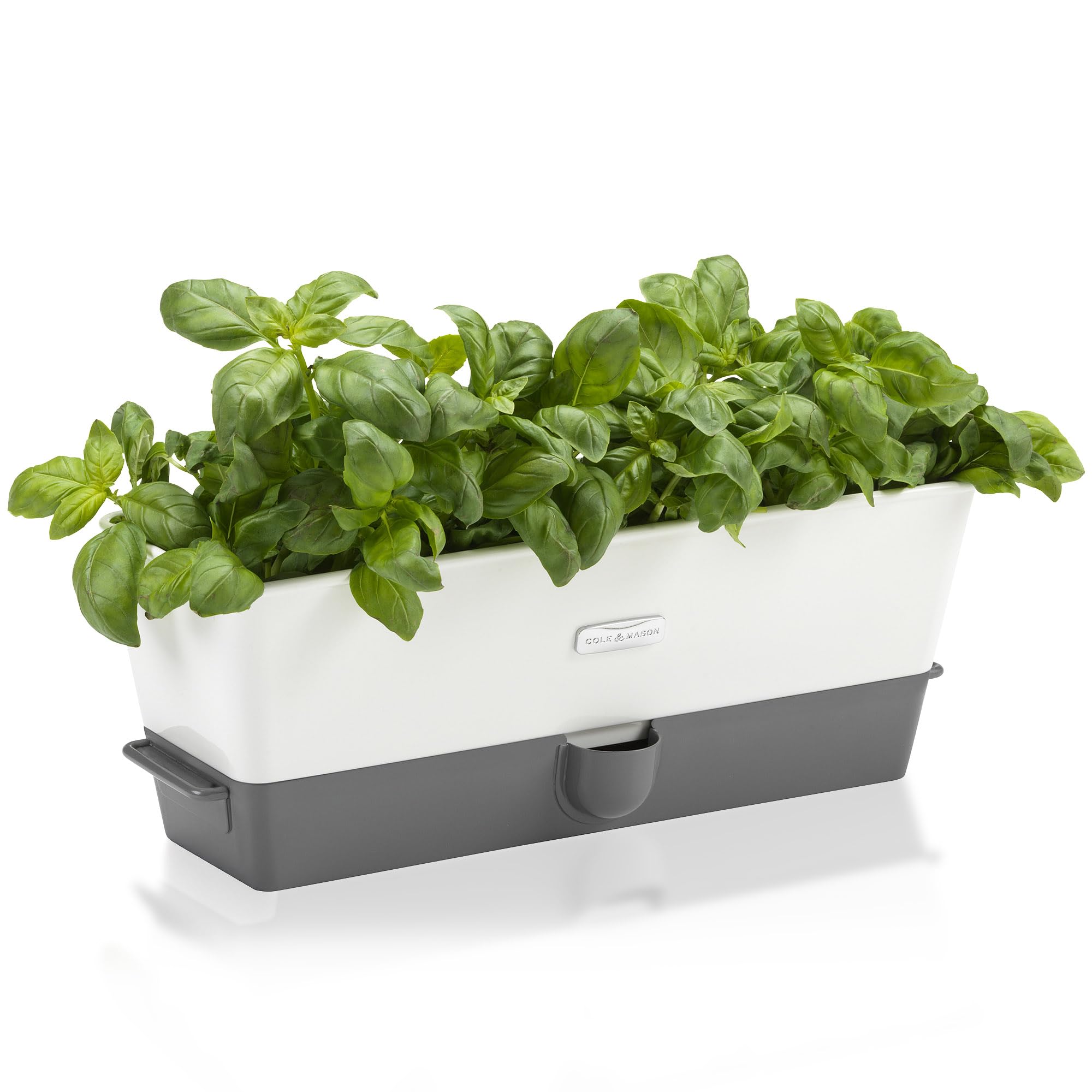 Cole & Mason Self-Watering Herb Keeper, Plastic, White/Grey, 13.8 x 37.1 x 14 cm