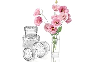 SOUSAC 4 Pcs Flower Bouquet Holder Clear Floral Frog, Spiral Ikebana Stem Holder for Vases, Hanataba Flower Arranger Twist, DIY Bouquet Twister Flower Arrangement Supplies（2S+2L）