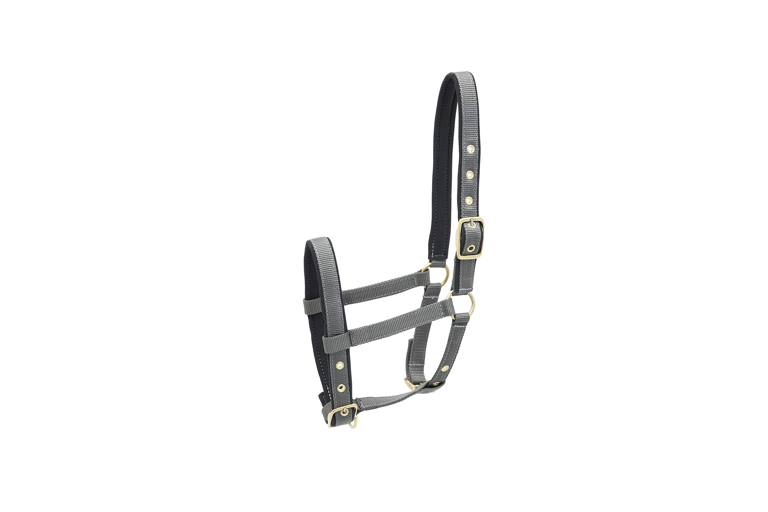 KIEFFER Nylon Headcollar FOAL