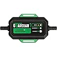 Interstate Batteries 12V Battery Charger and Maintainer (12V, 1.2A) Portable, Automatic, Trickle Charging for Automotive, AGM, Flooded, Gel, Lead-Acid, Powersports (CHGIB12)