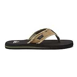 Quiksilver mens Monkey Abyss