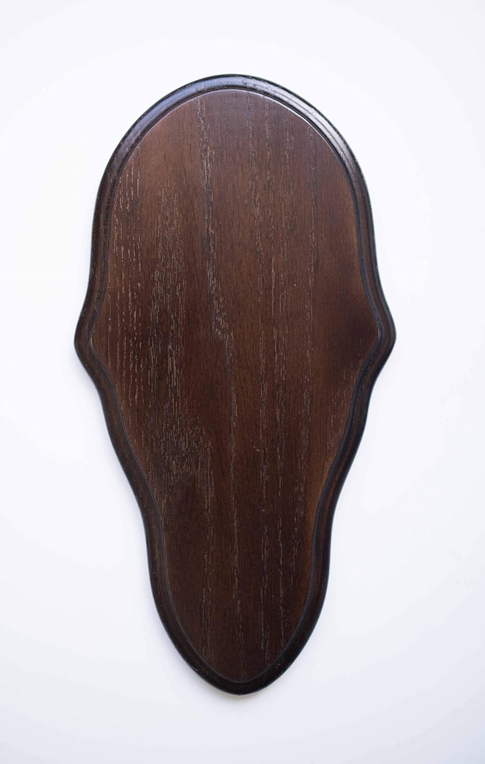 Which Is The Best Ladder Plaque Mount