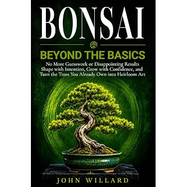 Amazon.com New Releases: The best-selling new & future releases in