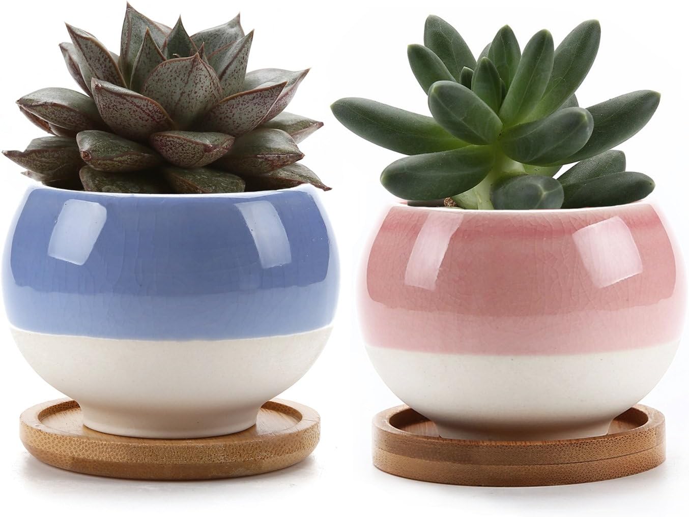 GreenyLife 3 Inch Ceramic Succulent Planters Cactus Pots with Drainage Tray Set of 2, Ball Shape Small Pots for Succulent Window Boxes for Home Office Decor Pink & Blue