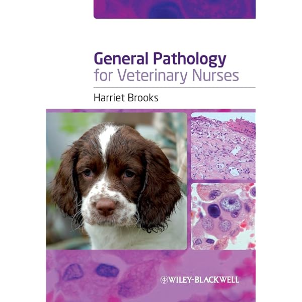 Small Animal Dermatology for Technicians and Nurses: Horne, Kim