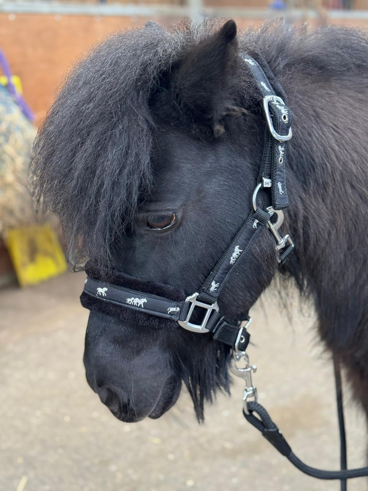 Equipride Horse Print Faux Mink Nylon Headcollar with Matching Lead Rope Black (Pony)