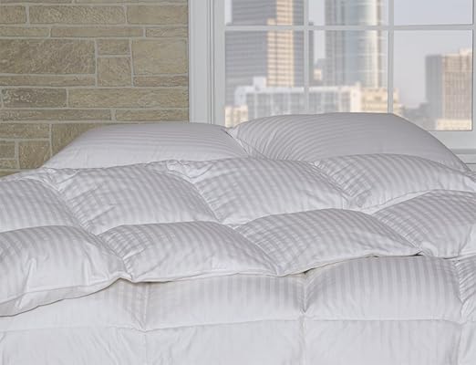 Amazon Com Dreamstead By Cuddledown Classic 600fp Duck Down Warm