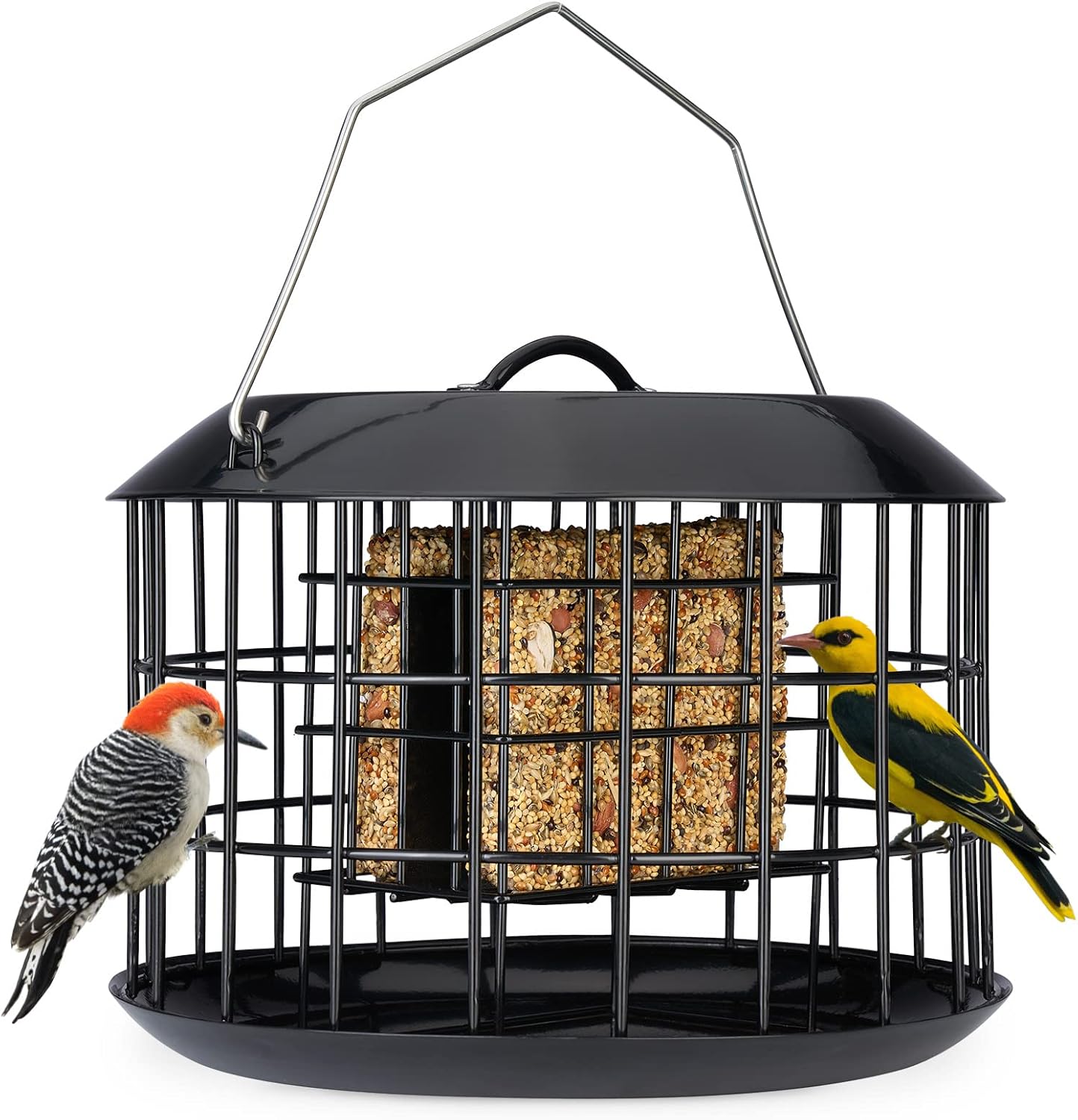 Backyard Birding & Wildlife - Kingsyard Squirrel Proof Suet Feeder, Cage Bird Feeders for Outdoors Hanging, All Metal, Double Suet Cake Capacity, Tray & Weatherproof, Black