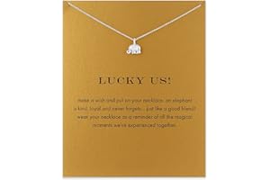 Baydurcan Friendship Anchor Compass Necklace Good Luck Elephant Pendant Chain Necklace with Message Card Gift Card