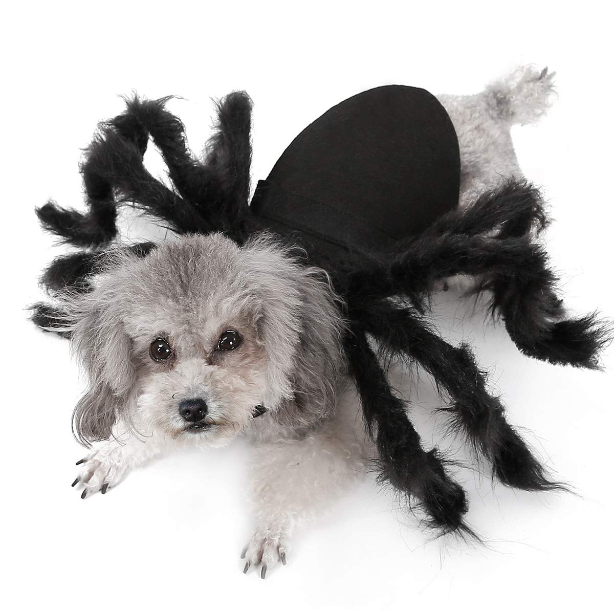 Dog Cat Cosplay Halloween Costume,Spider Design Dress Up Dog Cat Cosplay Party Clothes (M)