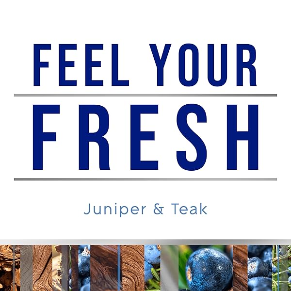 GLADE PLUGINS REFILLS AIR FRESHENER, SCENTED AND ESSENTIAL OILS FOR HOME AND BATHROOM, JUNIPER & TEAK, FRESH COLLECTION 1.34 FL OZ, 2 COUNT