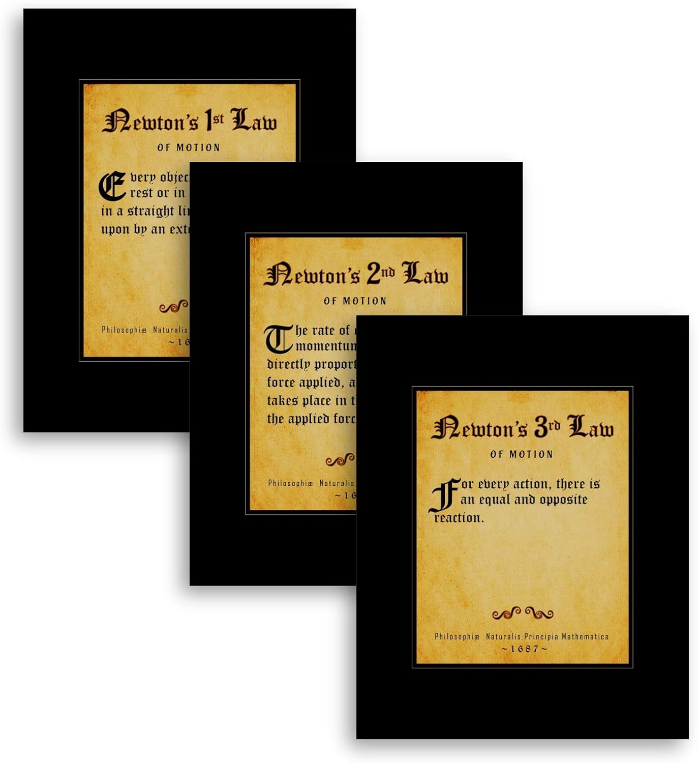 38 Isaac Newton's 3 Laws Of Motion Worksheet - Worksheet Source 2021