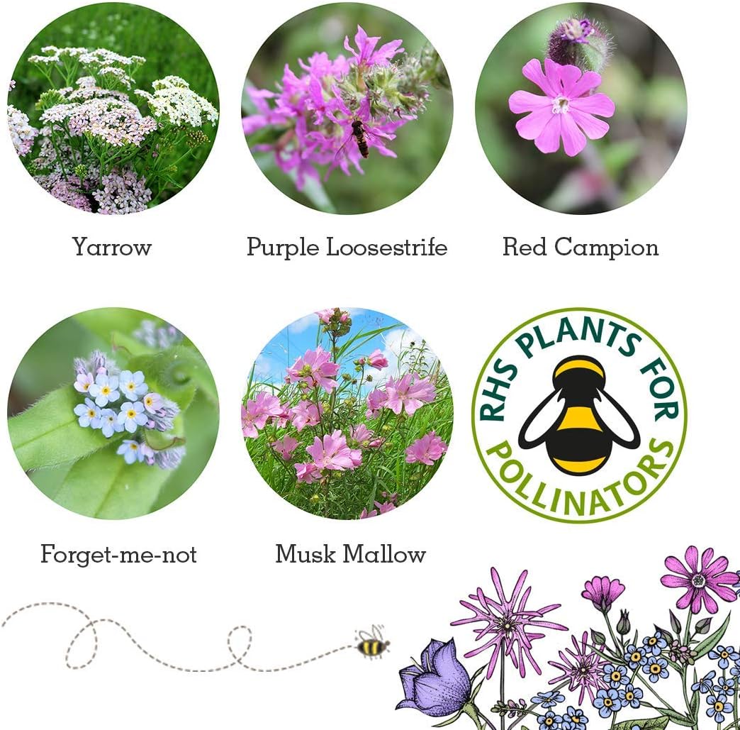 SEEDBALL Butterfly Mix Seed Bombs - 100 Seed Balls Per Pack - Image 3
