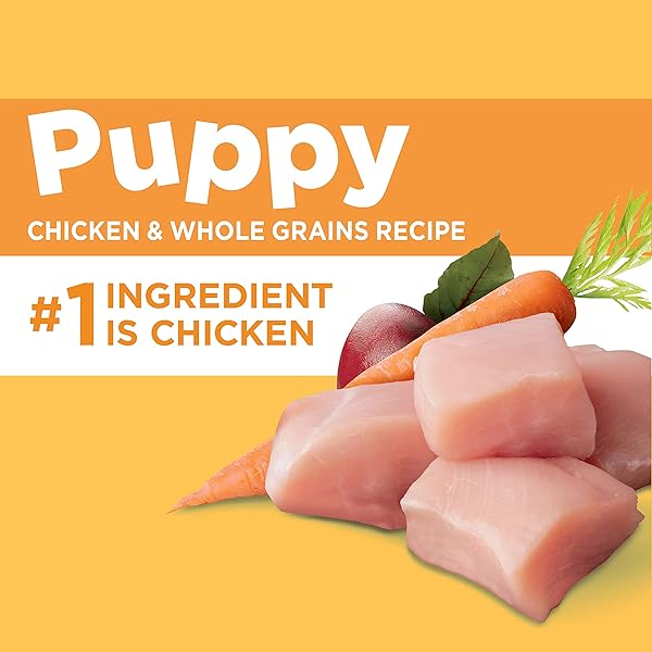 IAMS PROACTIVE HEALTH DRY PUPPY FOOD, PREMIUM DOG FOOD DRY RECIPE, 7 LB. BAG