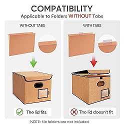 BALEINE File Organizer Box with Lid, Collapsible