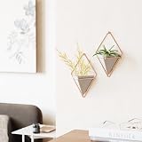 Umbra Trigg Small Set of 2 Concrete Wall Planters - Modern Decor view 4