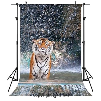 Amazon Com Waterfall Photography Backdrops Image Of A Large