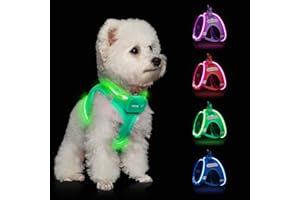 FEYCIG Light Up Dog Harness,Rechargeable LED Dog Harness for Small Medium Large Dogs,Reflective Lighted Safety Vest for Night Walking & Camping,Lightweight & Adjustable,Light Green,XS