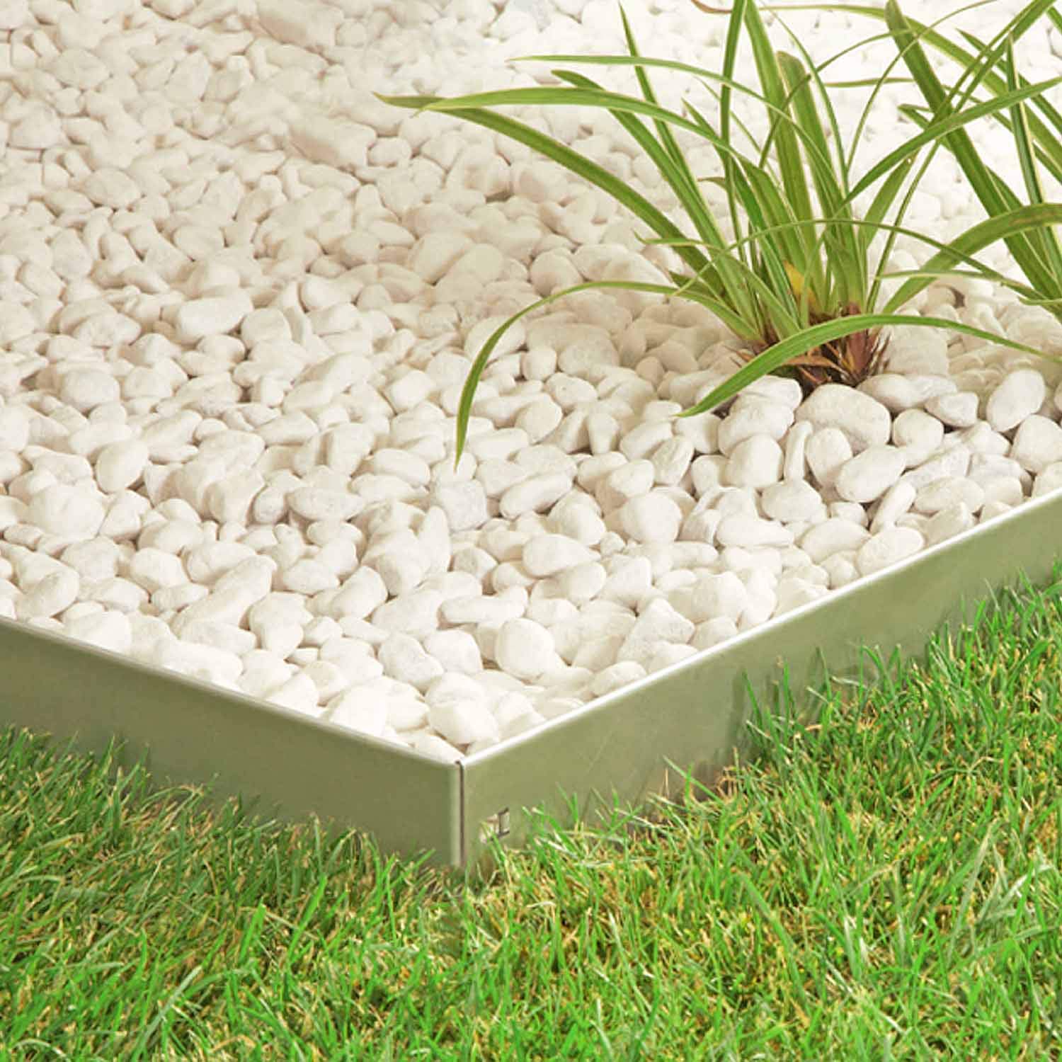 FOYUEE - Bordes galvanizados para crecer en casa (decoración ...