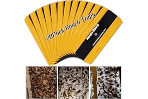 USKICH 20 Pack Roach Traps, Cockroach Traps Indoor Home, Glue Roach Traps, Child & Pets Safe(Upgrade Recipe)
