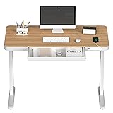FLEXISPOT Electric Standing Desk with Drawer