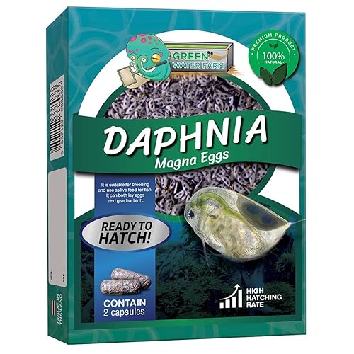 GreenWaterFarm Daphnia Magna Eggs Live Fish Food for Hatching and Culture  Suitable for Feed Betta Fish in Kuwait Whizz Aquarium Fish